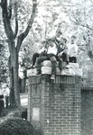 Bridgewater College, Boys sitting on College entrance gate, Homecoming 1973 by Bridgewater College