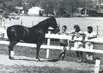Bridgewater College, Three students interact with a horse, May 1986 by Bridgewater College