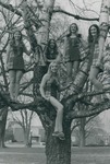 Bridgewater College, Group Portrait of the cheerleaders, circa 1973 by Bridgewater College