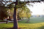 The Campus Mall early in the morning, 2002. by L. Michael Hill Ph.D.