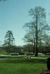 Bald cypress, larch tree and Blue Ridge Hall by L. Michael Hill Ph.D.