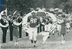 Bridgewater College, Dan Legge (photographer), Football players, marching band and cheerleaders, circa 1968 by Dan Legge