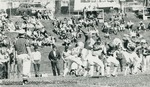 Bridgewater College, Football action photograph featuring Duane Harrison, circa 1980 by Bridgewater College