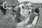 Bridgewater College, Football players rushing the field with cheerleaders and the marching band, 1968
