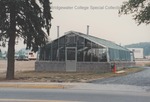 Bridgewater College greenhouse that was located on Dinkel Avenue before the McKinney Center was built, June 1990 by Bridgewater College