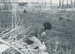 A student sampling water in Dry River at Interterm, 1972