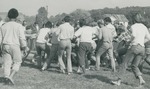 Bridgewater College, A greased pig chase at the May Day festival, 1973