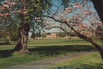 Bridgewater College, View of the McKinney Center in construction across the campus mall, 6 May 1995