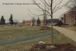 Bridgewater College, Tree planting on the campus mall with the McKinney Center in the background, 14 December 1995
