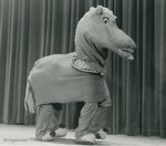 Bridgewater College, Photograph of Gladys the Horse from The Clown that Ran Away, March 1983